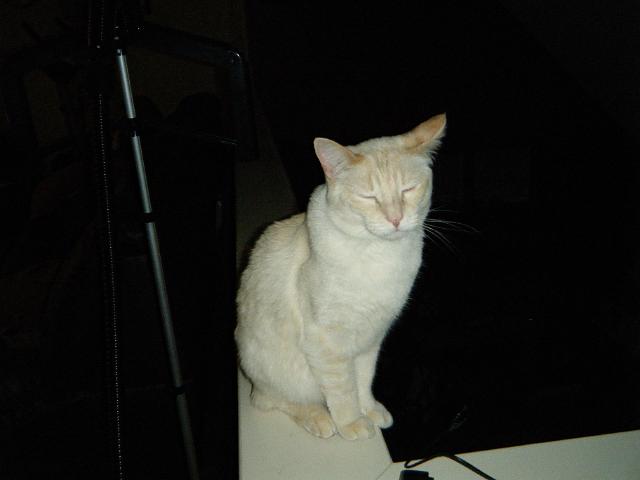 chrisniaraga 005.jpg